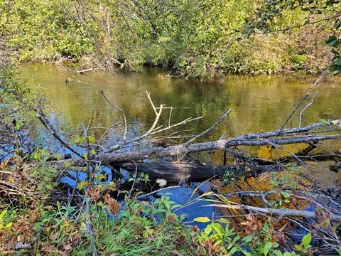 6762 M37, Baldwin, MI 49304 photo 26