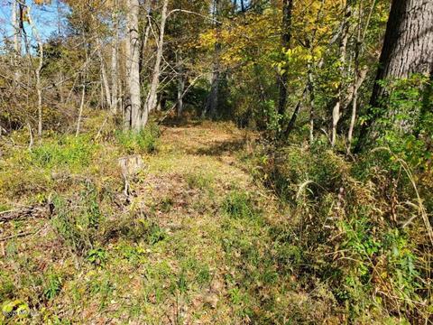 6762 M37, Baldwin, MI 49304 photo 22