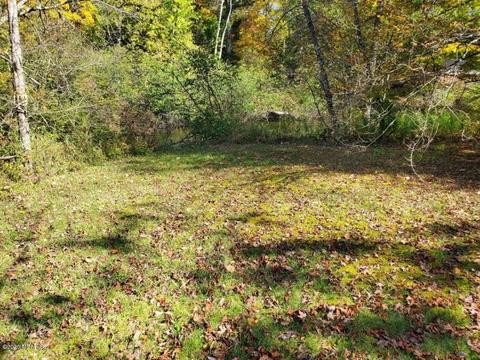 6762 M37, Baldwin, MI 49304 photo 29