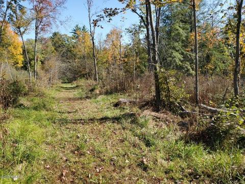 6762 M37, Baldwin, MI 49304 photo 31