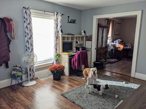 29 Abbott Ave, Coldwater, MI 49036 photo 8