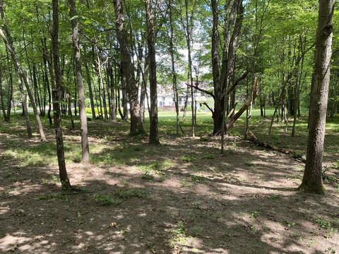 5334 S Meridian Rd, Jackson, MI 49201 photo 5