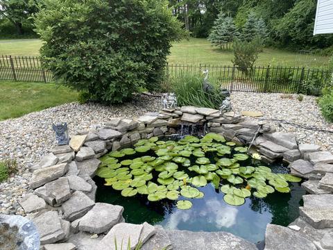 5334 S Meridian Rd, Jackson, MI 49201 photo 4