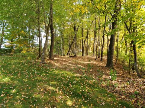 12940 Broadway Rd, Three Rivers, MI 49093 photo 41
