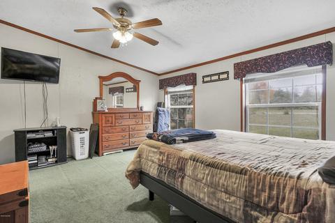 6800 Dever Dr, Belding, MI 48809 photo 9