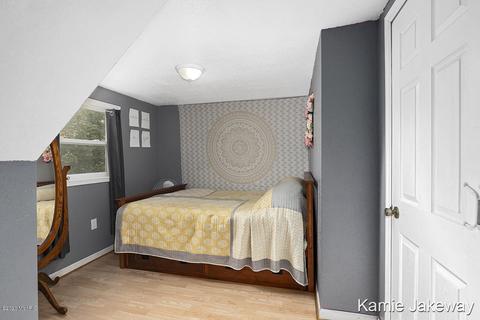 822 James St, Belding, MI 48809 photo 9