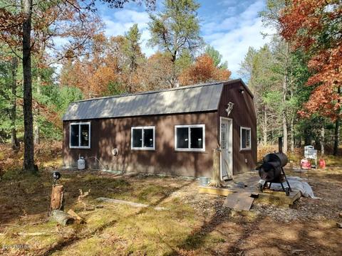 372 W 12th St, Baldwin, MI 49304 photo 5