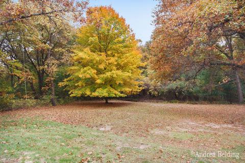 823 Morgan Dr, Belding, MI 48809 photo 5