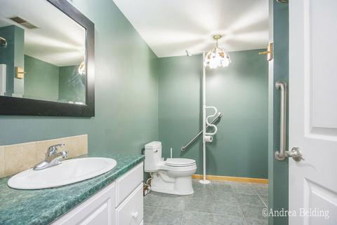 823 Morgan Dr, Belding, MI 48809 photo 21