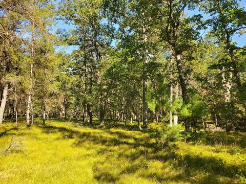 7674 W Wingleton Rd, Baldwin, MI 49304 photo 43