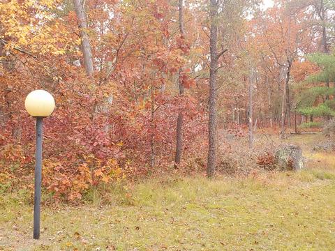 7674 W Wingleton Rd, Baldwin, MI 49304 photo 50