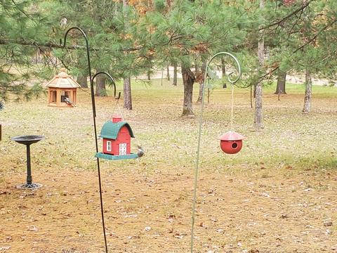 7674 W Wingleton Rd, Baldwin, MI 49304 photo 53