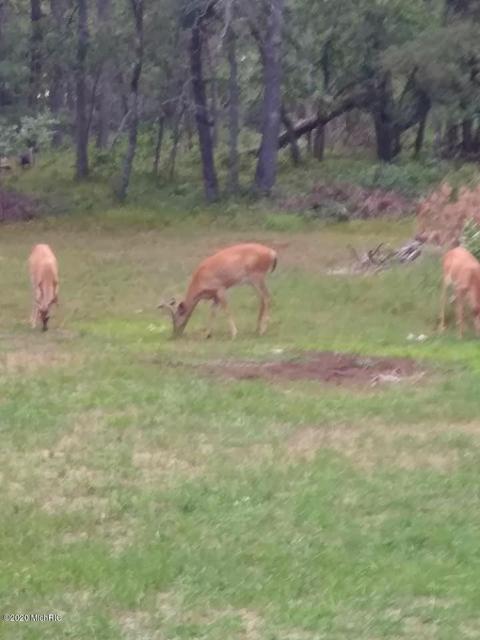 7674 W Wingleton Rd, Baldwin, MI 49304 photo 7