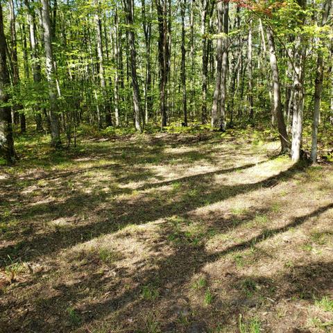 5867 Clements Rd, Brethren, MI 49619 photo 30