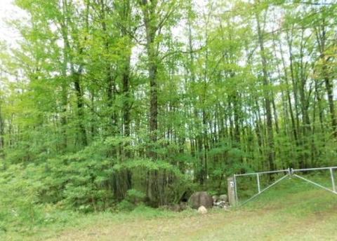 5867 Clements Rd, Brethren, MI 49619 photo 33
