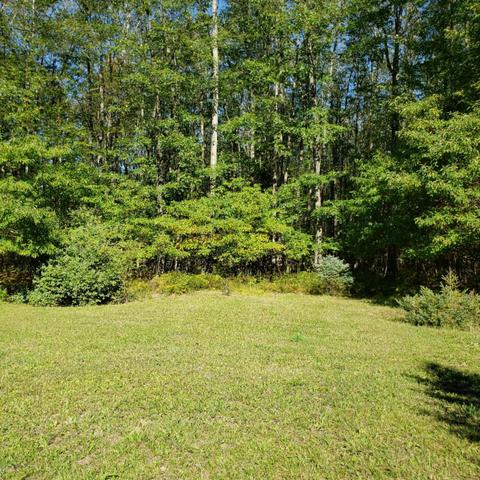 5867 Clements Rd, Brethren, MI 49619 photo 4