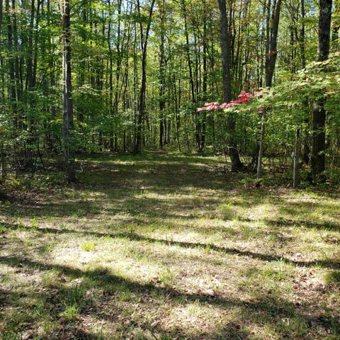 5867 Clements Rd, Brethren, MI 49619 photo 32