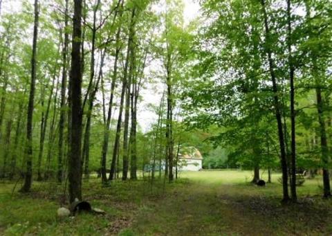 5867 Clements Rd, Brethren, MI 49619 photo 35