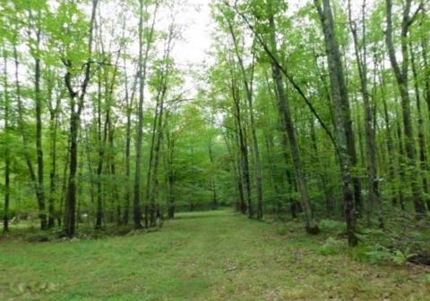 5867 Clements Rd, Brethren, MI 49619 photo 34