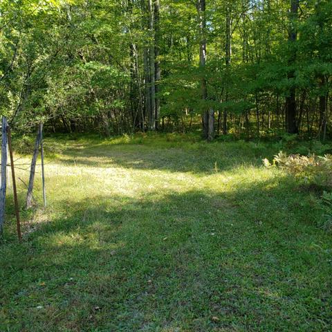 5867 Clements Rd, Brethren, MI 49619 photo 29