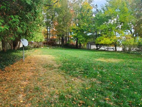 316 N Madison St, Marshall, MI 49068 photo 3