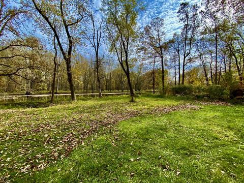 3100 58th St, Hamilton, MI 49419 photo 36