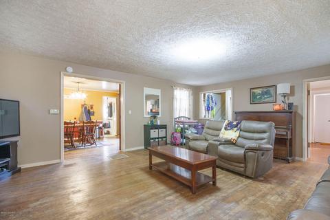 710 N Johnson Rd, Saranac, MI 48881 photo 15