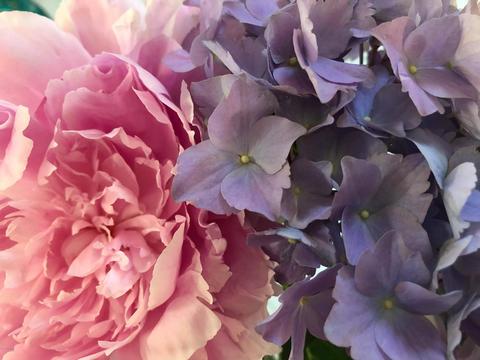 7238 W Fox Rd, Mears, MI 49436 photo 98