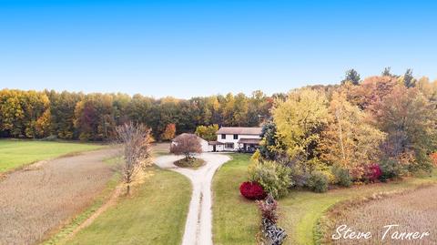 4082 E Klees Rd, Stanton, MI 48888 photo 2