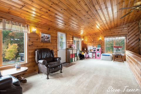4082 E Klees Rd, Stanton, MI 48888 photo 24