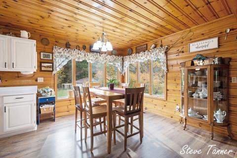 4082 E Klees Rd, Stanton, MI 48888 photo 17