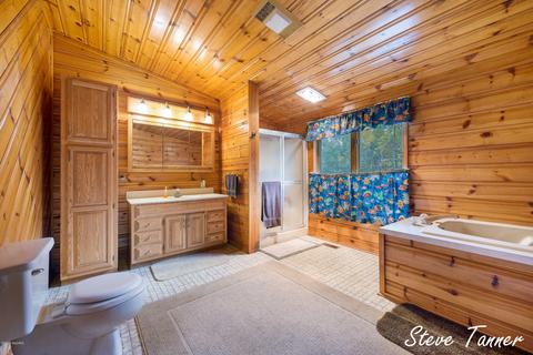 4082 E Klees Rd, Stanton, MI 48888 photo 26