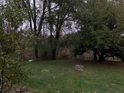 19480 230th Ave, Big Rapids, MI 49307 photo 17