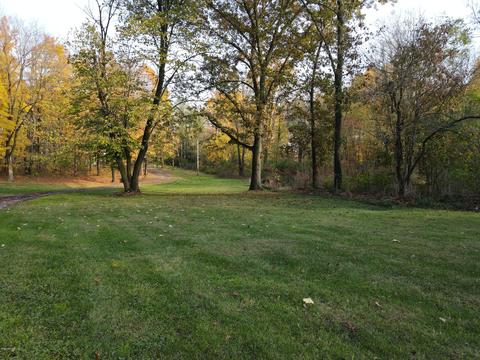 15036 N Main St, Buchanan, MI 49107 photo 48