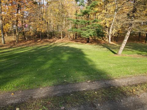 15036 N Main St, Buchanan, MI 49107 photo 46