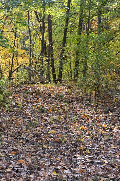 60069 Roberts Rd, Three Rivers, MI 49093 photo 6