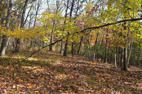 60069 Roberts Rd, Three Rivers, MI 49093 photo 11