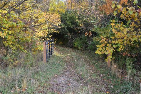 60069 Roberts Rd, Three Rivers, MI 49093 photo 13