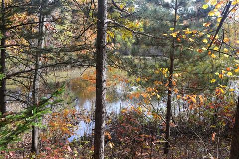 60069 Roberts Rd, Three Rivers, MI 49093 photo 1