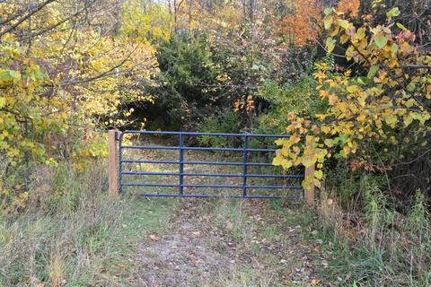 60069 Roberts Rd, Three Rivers, MI 49093 photo 14