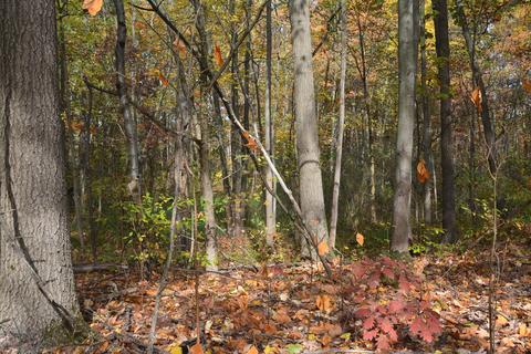 60069 Roberts Rd, Three Rivers, MI 49093 photo 10