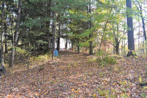 60069 Roberts Rd, Three Rivers, MI 49093 photo 8