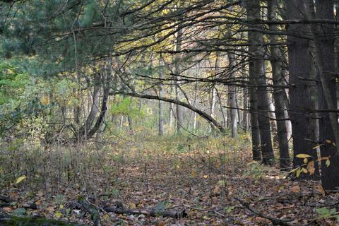60069 Roberts Rd, Three Rivers, MI 49093 photo 7