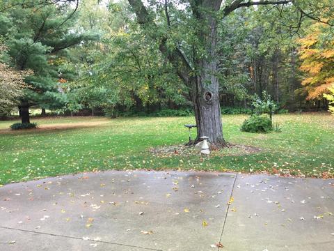 1177 Marshall Rd, Tekonsha, MI 49092 photo 27