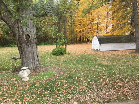 1177 Marshall Rd, Tekonsha, MI 49092 photo 5