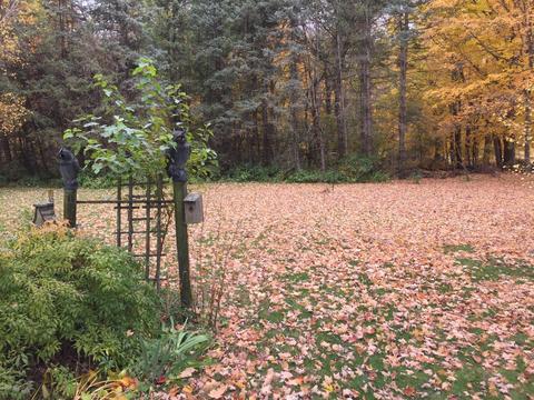 1177 Marshall Rd, Tekonsha, MI 49092 photo 6