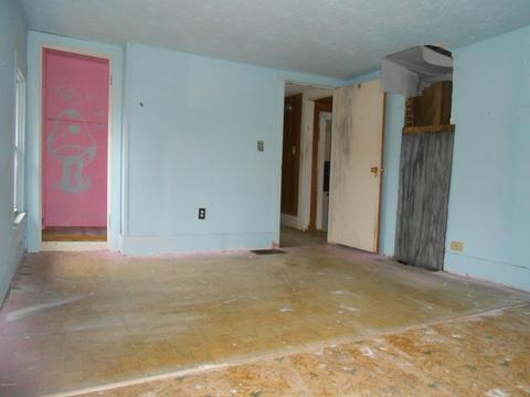 432 6th Ave, Three Rivers, MI 49093 photo 14