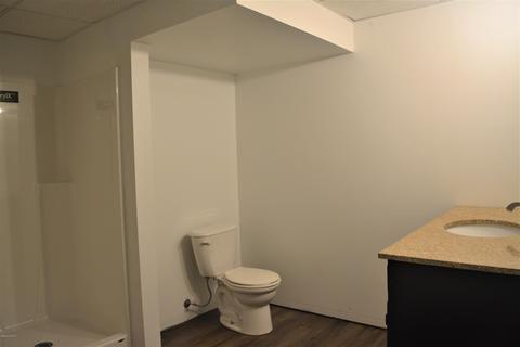 868 E Michigan Ave, Marshall, MI 49068 photo 20