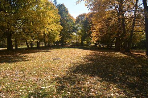 868 E Michigan Ave, Marshall, MI 49068 photo 8