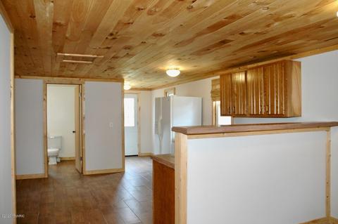 42 N Webster St, White Cloud, MI 49349 photo 2